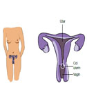 Reponsive image